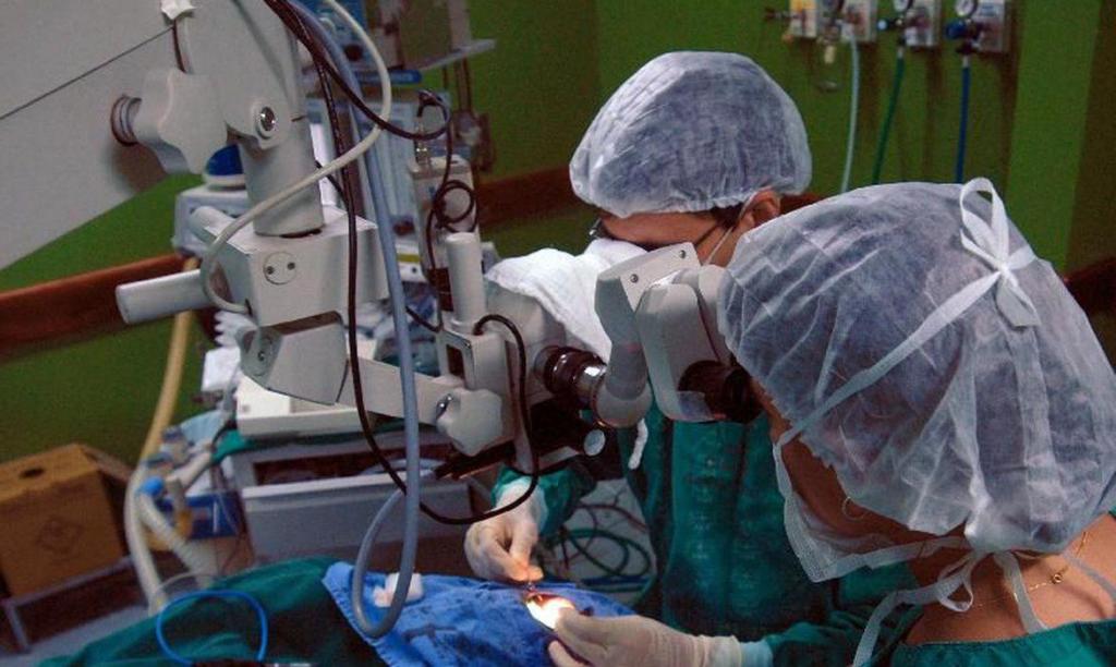 foto de SP: Central de Transplantes informa queda de 17,5% no número de transplantados