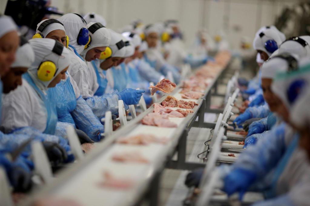 foto de Arábia Saudita suspende a compra de carne de aves de 11 frigoríficos do Brasil. Medida afeta Amparo