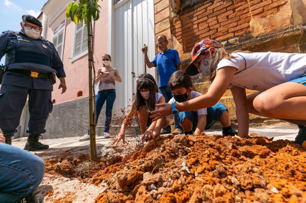 foto de Alunos do Colégio Alternativo realizaram plantio de árvores